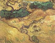 Vincent Van Gogh, Field with Two Rabbits (nn04)